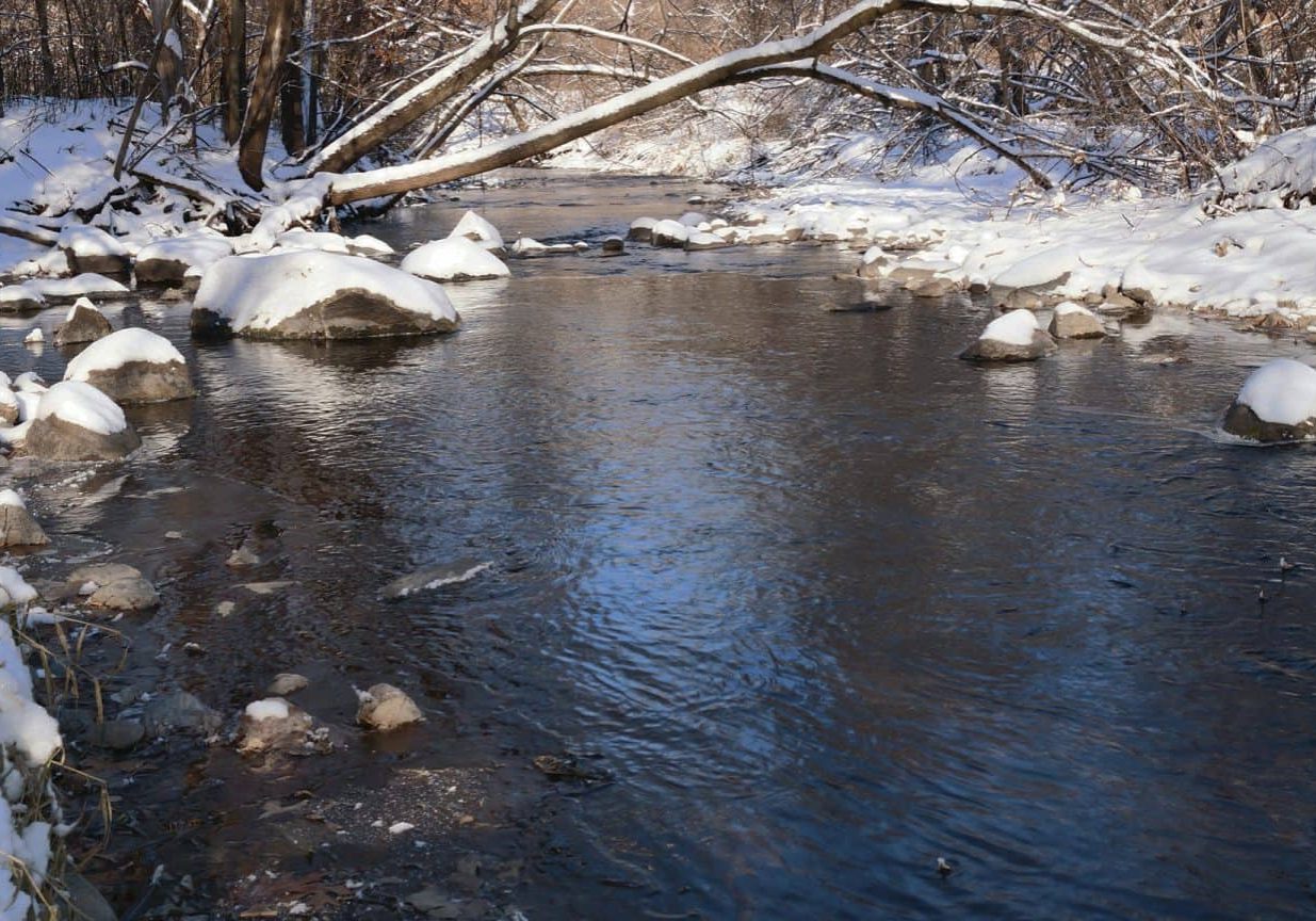 A Memorable Christmas - header